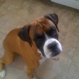 Meet your Posher, Pamala